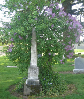 Spring Time in the Brooks Pioneer Memorial Cemetery
