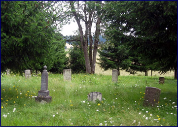 Hobson-Whitney Cemetery ~ near Sublimity, Oregon ~ Summer